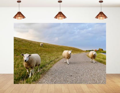 12x8ft Fabric Pasture Sheep Backdrop White Wool Sheep Gravel Path Green Grass Hill Cloudy Sky Background Tapestry Party Farm Animal Wall Decorations Photo Booth Props - size: 12x8ft