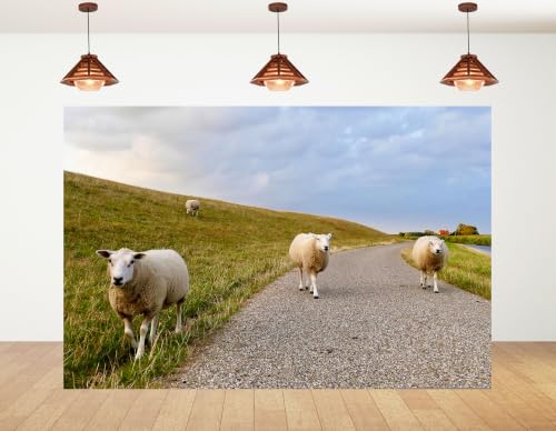 4x4ft Fabric Pasture Sheep Backdrop White Wool Sheep Gravel Path Green Grass Hill Cloudy Sky Background Tapestry Party Farm Animal Wall Decorations Photo Booth Props - size: 4x4ft