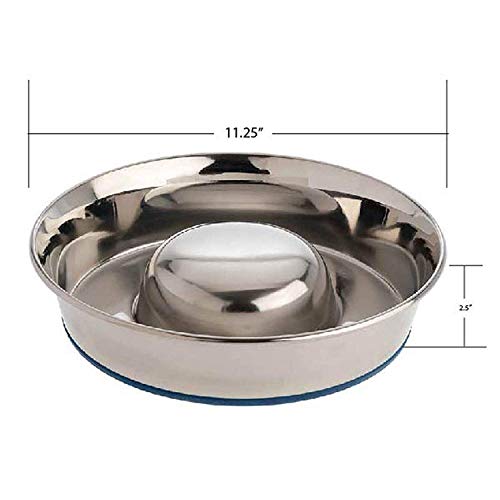 OurPet's DuraPet Slow Feed Stainless Steel Dog Bowl, Silver, Large - size: Large (6 Cups)