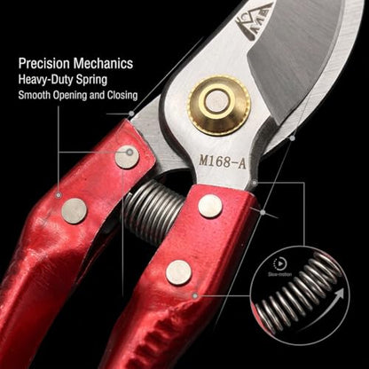 Goat Grooming Kit with Hoof Trimmer & 14 Inch Double-Sided Rasp - Hoof Care Tool for Goats, Pigs, Sheep, Horse, Includes Farrier Rasp & Trimmer Shears for Metal Filing