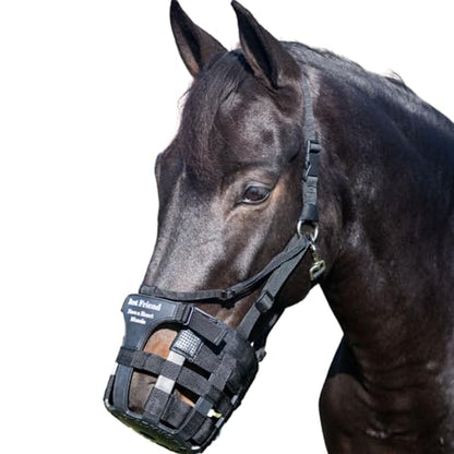 Best Friend Have A Heart Muzzle Cob - size: Cob