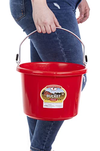 Plastic Animal Feed Bucket (Purple) - Little Giant - Round Plastic Feed Bucket with Metal Handle (8 Quarts / 2 Gallons) (Item No. P8RED6) - color: Red