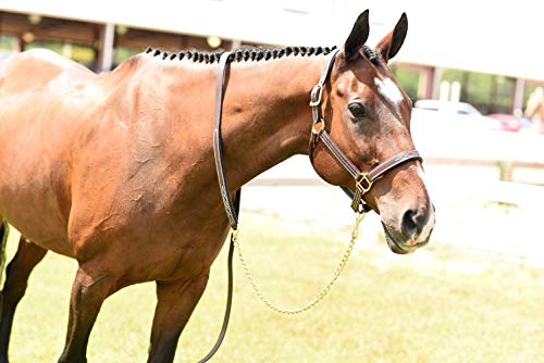 Huntley Equestrian Leather Lead with Chain (Fancy Stitched, Padded)