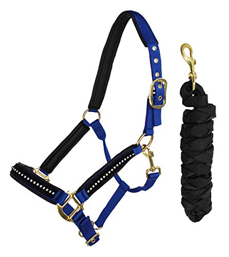 Nylon Horse Neoprene Padded Blue Nylon Halter Brass Hardware Rhinestones 606172RB - color: Royal Blue