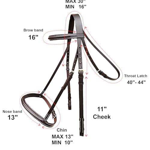 Majestic Ally Padded Raised English Bridle, Premium Leather, Matching Laced Reins - color: Brown, size: Pony