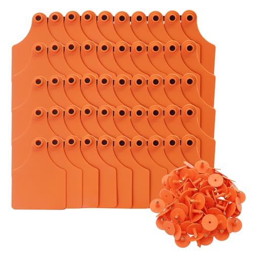 Blank Cattle Ear Tags 100PCS TPU Oversize 4.1x3 Inch Livestock Tags - style: Orange