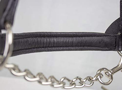 Derby Originals Premium Raised Padded Fancy Stitch Leather Cattle Show Halter with Matching Chain Lead - color: Black, size: Large (950lbs-1500lbs)