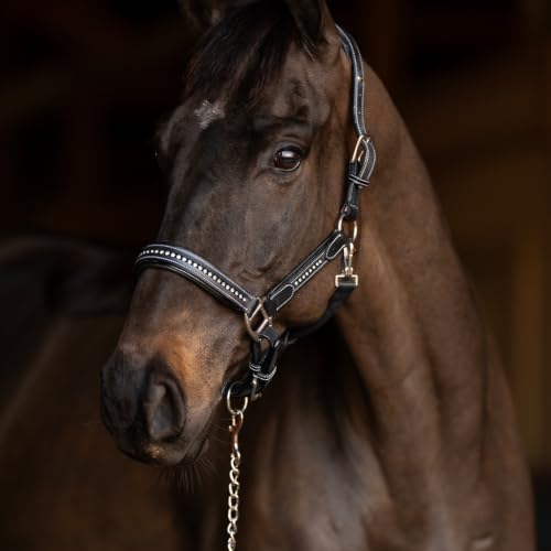 Henri de Rivel Ergonomic Premium Leather Padded Crystals Halter - Black - Cob - color: Black, size: Cob