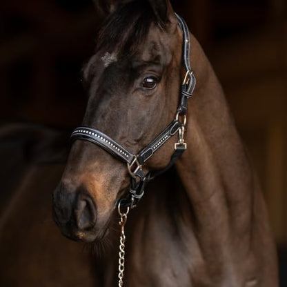 Henri de Rivel Ergonomic Premium Leather Padded Crystals Halter - Black - Pony - color: Black, size: Pony