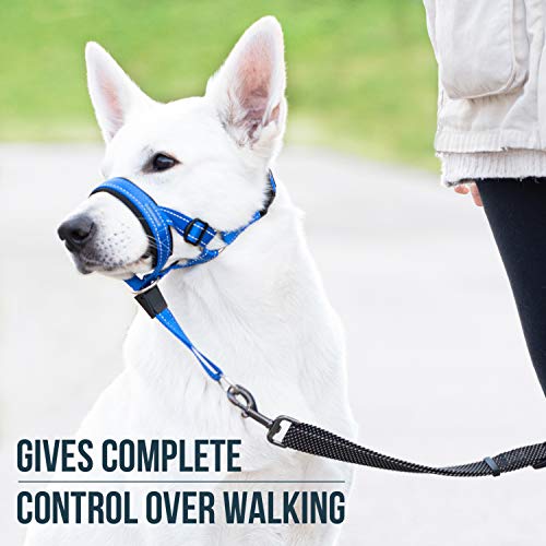 GoodBoy Dog Head Halter with Safety Strap - Stops Heavy Pulling On The Leash - Padded Headcollar for Small Medium and Large Dog Sizes - Head Collar Training Guide Included (Size 3, Blue Nylon) - color: Blue Nylon / Black Padding, size: Size 3 (Pack of 1)