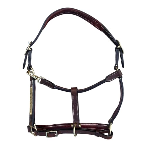 Leaders Premium Padded Leather Horse Halter - Exclusive Pre-Oiled Aniline Leather with Lacquered Solid Brass Hardware & Machined Structural Rings - size: Cob Size with Name Plate
