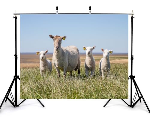 5x3ft Fabric White Wool Sheep Family Backdrop Four Fluffy Lambs Tall Green Grass Blue Coast Sky Photography Background Tapestry Party Farm Animal Decorations Photo Booth Props - size: 5x3ft