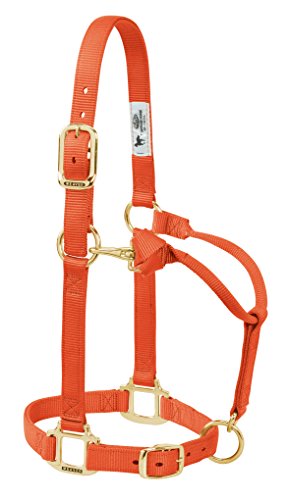 Weaver Leather Original Adjustable Nylon Horse Halter, Average Horse, Orange
