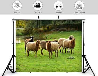 4x4ft Fabric Grassland Sheep Herd Backdrop Group of Wool Sheep Green Pasture Pond Forest Farm Scene Photography Background Tapestry for Farm Animal Decorations Photo Booth Props - size: 4x4ft