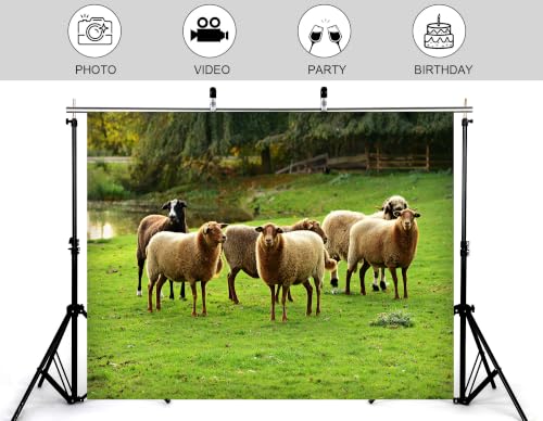 5x3ft Fabric Grassland Sheep Herd Backdrop Group of Wool Sheep Green Pasture Pond Forest Farm Scene Photography Background Tapestry for Farm Animal Decorations Photo Booth Props - size: 5x3ft