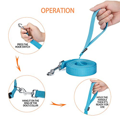 Strong Durable Nylon Dog Training Leash, 1 Inch Wide Traction Rope, 10 ft Long, for Small and Medium Dog (Mint Blue, 10 Feet) - color: Mint blue, size: 10 Feet