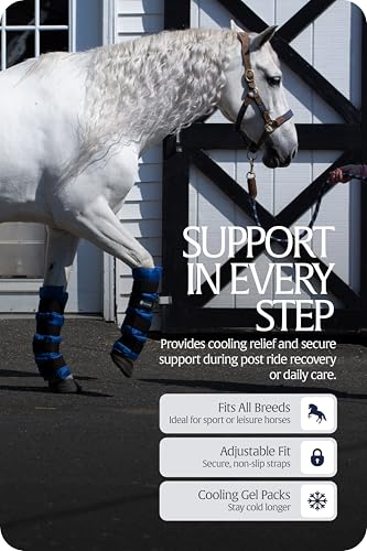 Equinavia Cool Relief Therapy Equine Ice Boots for Horses-Gel Cooling Wraps - color: Royal Blue