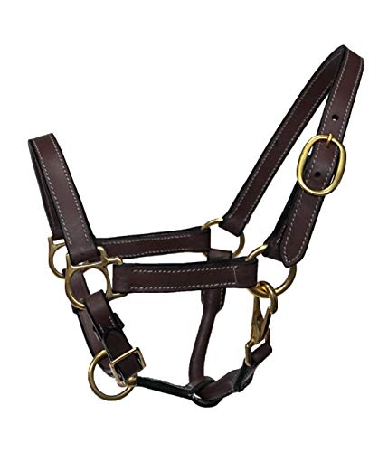 Foal Size Leather Halter with Brass Hardware - color: Brown