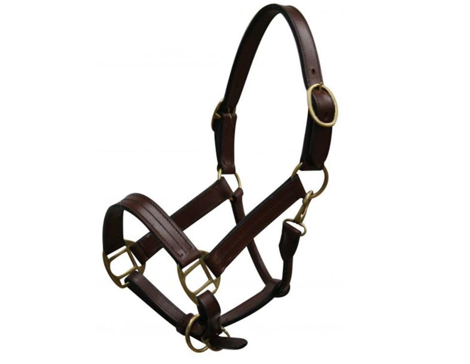 Yearling Leather Halter w/Brass Hardware - color: Brown