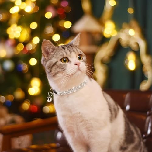 BINGPET Diamond Cat Collar with Bell,Adjustable Kitten Collar, Pink&Black - color: Pink & Black(Rhinestones), size: Neck Girth 8"-10"