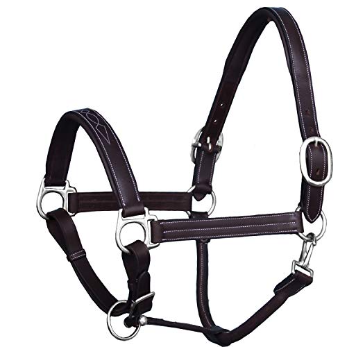 Leather Horse Halter with Fancy Stitching | Black & Brown Padded Halter with Silver Brass Hardware | Quick-Release Snap | Adjustable Leather Halter – Cob, Full, Over, Pony Sizes - color: Havana/ Choco Brown, size: Cob/ Medium Size