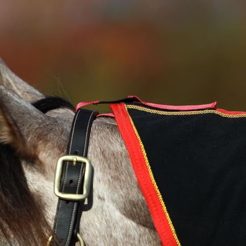 Dura-Tech Polar Fleece Contour Award Cooler [Extra Coverage] | Quick Moisture Wicking | Luxurious Feel | Ideal Horse Show Award | Size Large - size: Large -- 76" - 80"