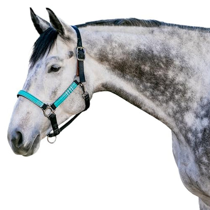 Kensington Premium Breakaway Halter with Padded Nose — Added Breakaway Safety Measures — Snap at Throat for Identical Fit Each Time - color: 2021 - Atlantis, size: X-Large