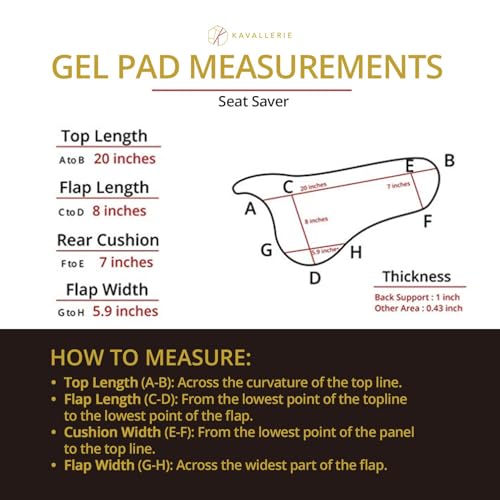 Gel Saddle Pad - Helps with Saddle Bridging, Sore Back, Swayed Back, High Withers English Bareback Pad for Horses, Protective, Perfect for Eventing, Schooling, Dressage - size: Basic Riser