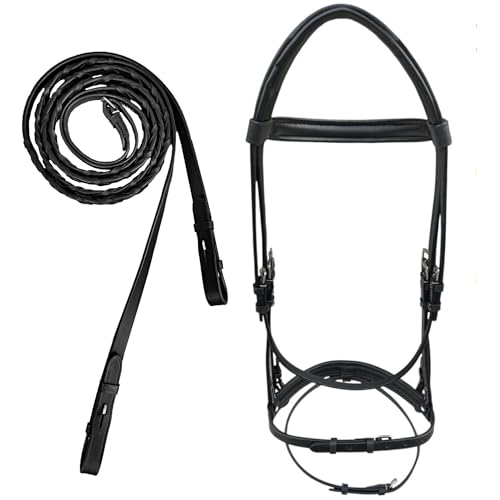 Majestic Ally Fancy Stitched Padded Bridle – Crown, Browband & Noseband – Removable Flash & Laced Reins Full - color: Black