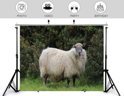 10x8ft Fabric Fluffy Wool Sheep Backdrop Single White Sheep Lush Green Bush Grass Bright Clear Blue Sky Background Tapestry Party Farm Animal Decorations Photo Booth Props - size: 10x8ft