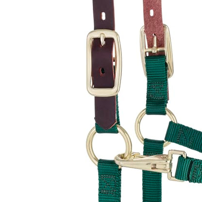 Weaver Leather Adjustable Breakaway Nylon Horse Halter