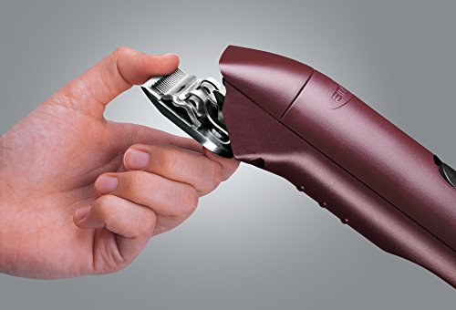 Andis 22685 Professional UltraEdge Super 2-Speed Detachable Blade Clipper – Rotary Motor with Shatter-Proof Housing, Runs Calm & Silent, 14-Inch Cord - for All Coats & Breeds - 120 Volts, Burgundy