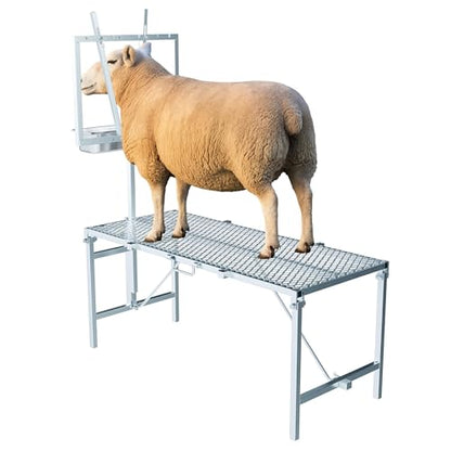 600LBS Milking Stand for Goat, Adjustable Sheep Rack with Feeder, Metal Livestock Milk Stand Fit for Shearing, Hoof Trimming, Animal Examinel Examination, Stainless Steel (Silvery) - color: Silvery