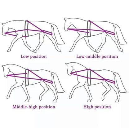 Leaders Training or Lungeing Aid for Horse - color: Black
