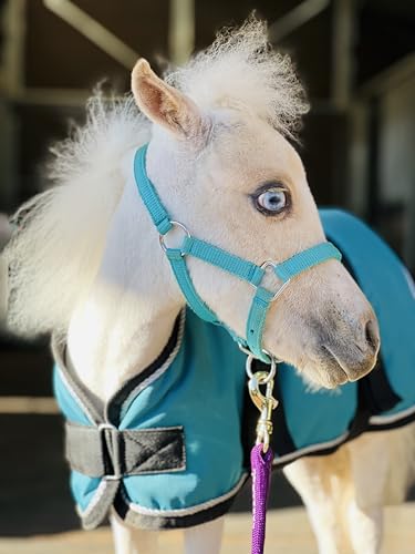 Star Point Horsemanship Miniature Horse Newborn/Weanling Foal Halter