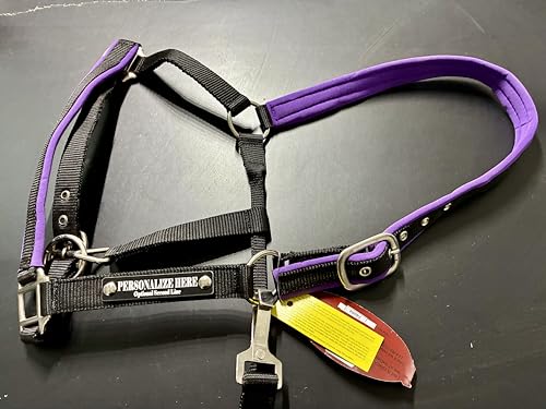 Purple Padded Horse Halter with Personalized Laser Engraved Custom Plate
