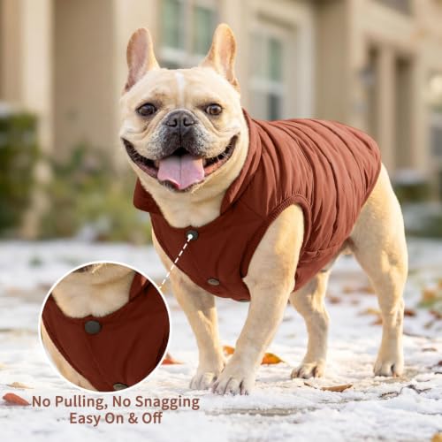 JoyDaog Fleece Lined Dog Jacket for Medium Dogs,Winter Dog Coat,Brown L - color: Brown, size: Large