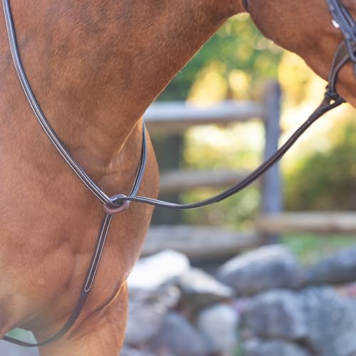 Equinavia Saga Adjustable Leather Standing Martingale with Stainless Steel Hardware (Stopper Not Included) - Chocolate Brown - Cob - size: Cob