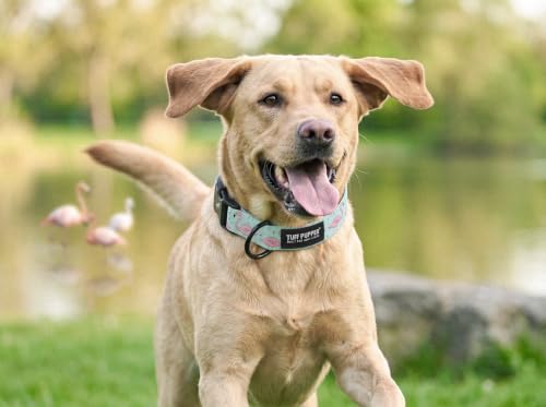 Tuff Pupper Premium Adjustable Dog Collar, Stylish Pattern Collars Designed in USA, Quick Release Buckle, Flamingo Bay Medium (1 Inch Wide x 13-18 Inch Neck) - color: Flamingo Bay, size: Medium