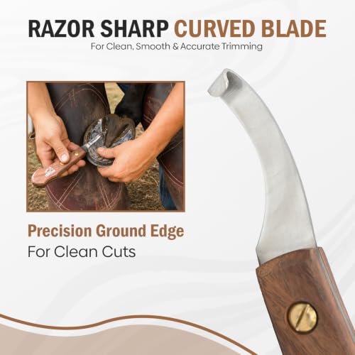 Equine Care Right-Handed Farrier Hoof Knife, Sheesham Wood Handle - style: Right Handed