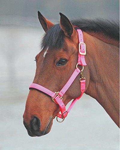 Shires Topaz Leather Breakaway Nylon Headcollar - color: Pink, size: X-Small Pony