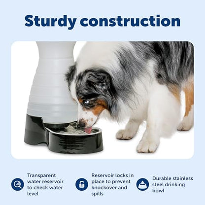 PetSafe Healthy Pet Water Station, 320 oz, Stainless Steel Bowl, Large | Gravity-Fed Pet Water Fountain Keeps Cats or Small Dogs Hydrated, Stainless Steel Bowl Is Dishwasher Safe - size: Large