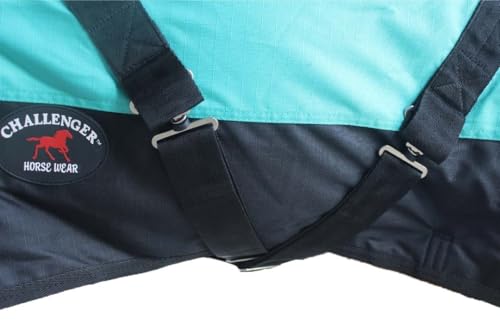Challenger 1200D Foal Turnout Waterproof Fleece Lined Medium Winter Blanket 519LG06 - color: Turquoise, size: 46 Inches
