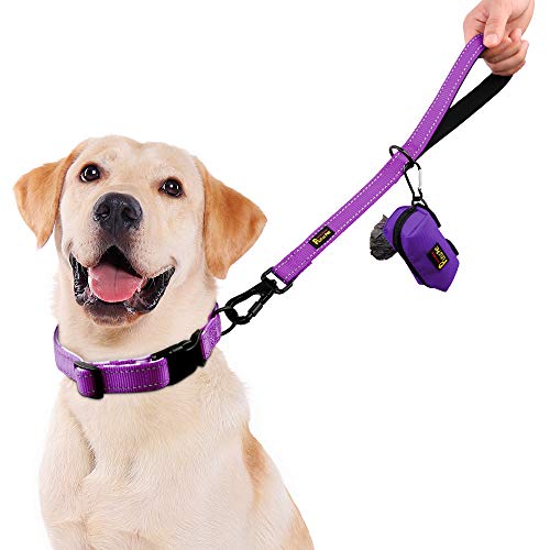 PLUTUS PET Short Training Dog Leash with Padded Handle for Medium Large Big Dogs,18 Inch Heavy Duty Strong Traffic Leash with Carabiner Clip for Climbing Walking or Guiding Blind (18",Purple) | Reflective, Heavy Duty Strong Nylon, Traffic Leash with Carab