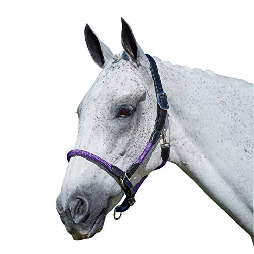 Kincade Leather Rope Halter, Hunter Green/Brown, Cob - color: Hunter Green/Brown, size: Cob