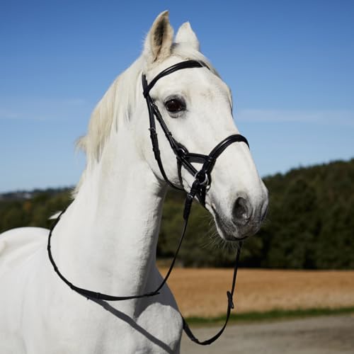 HORZE Denver Soft Leather English Side Pull Bitless Bridle for Horses | Web Reins Included - size: Warmblood