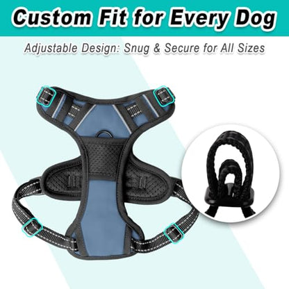 BARKBAY Dog Harness for Small Sized Dog No Pull 2 Leash Clips Dog Vest - color: Navy, size: X-Small
