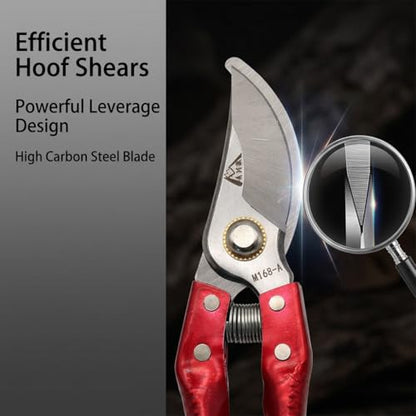 Goat Grooming Kit with Hoof Trimmer & 14 Inch Double-Sided Rasp - Hoof Care Tool for Goats, Pigs, Sheep, Horse, Includes Farrier Rasp & Trimmer Shears for Metal Filing