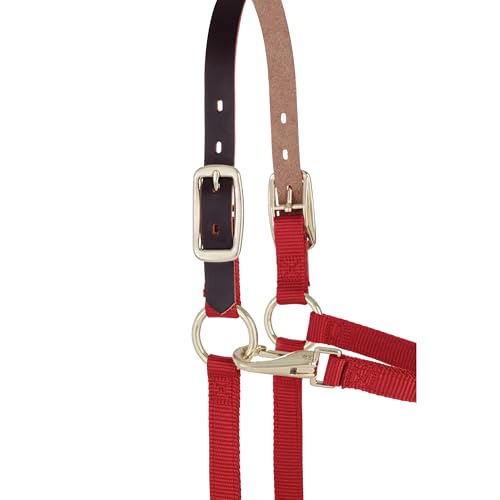 Weaver Leather Adjustable Breakaway Nylon Horse Halter