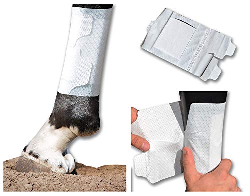 Equine BandaFlex Non-Adhesive, Disposable, Washable and Reusable Bandages (Large) - size: Large